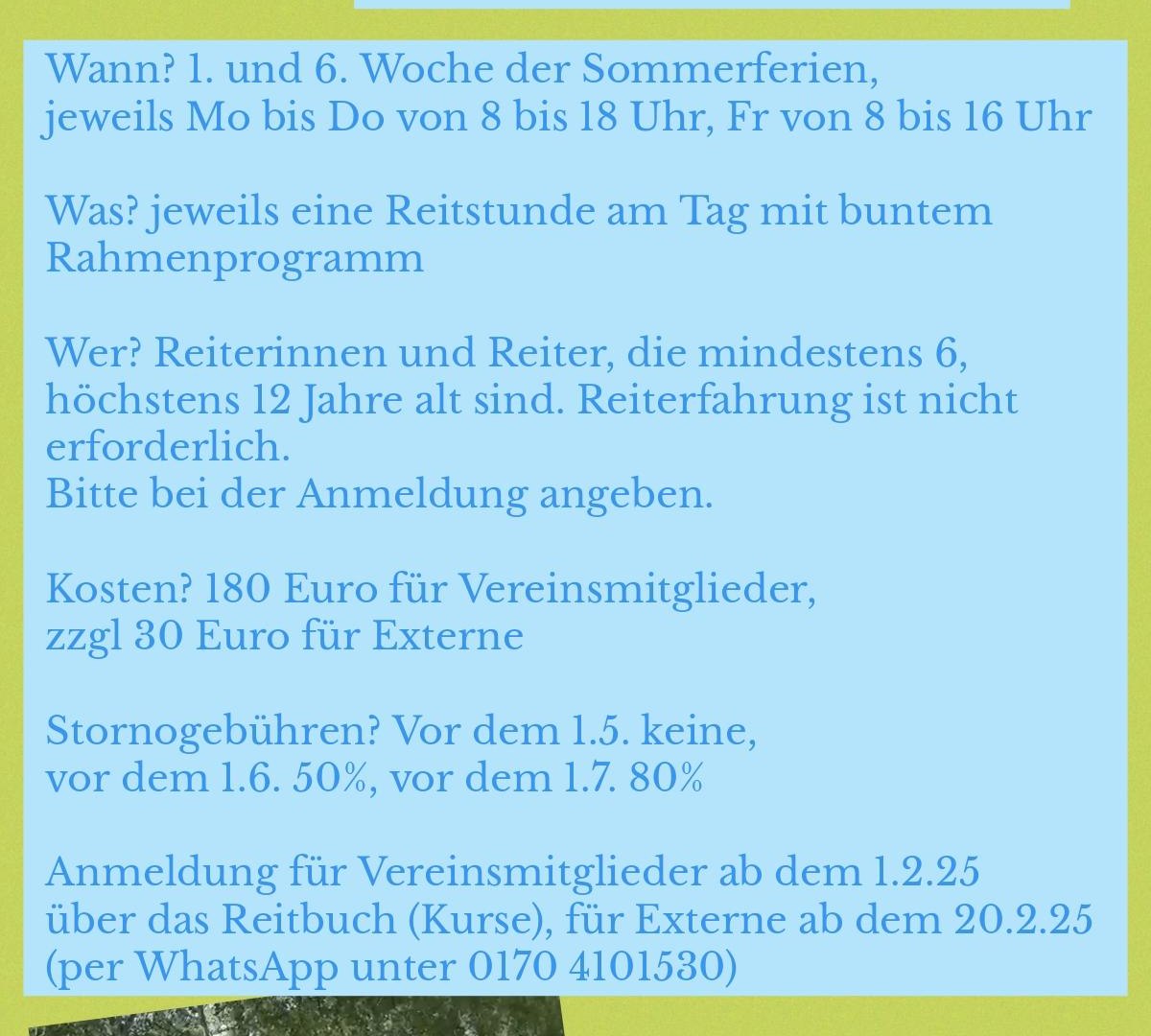 Ponyfreizeit 2025 | © Reiterverein Bissingen e.V. Ponyfreizeit 2025 | © Reiterverein Bissingen e.V.
