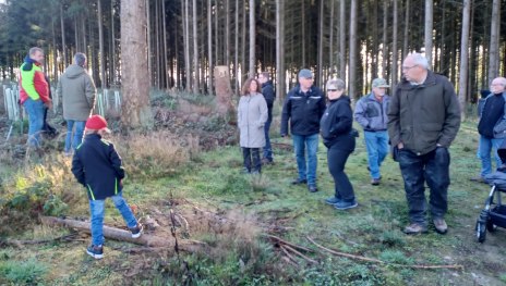 Waldbegehung2