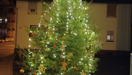 Tannenbaum