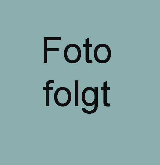 Ortsb&uuml;rgermeister
