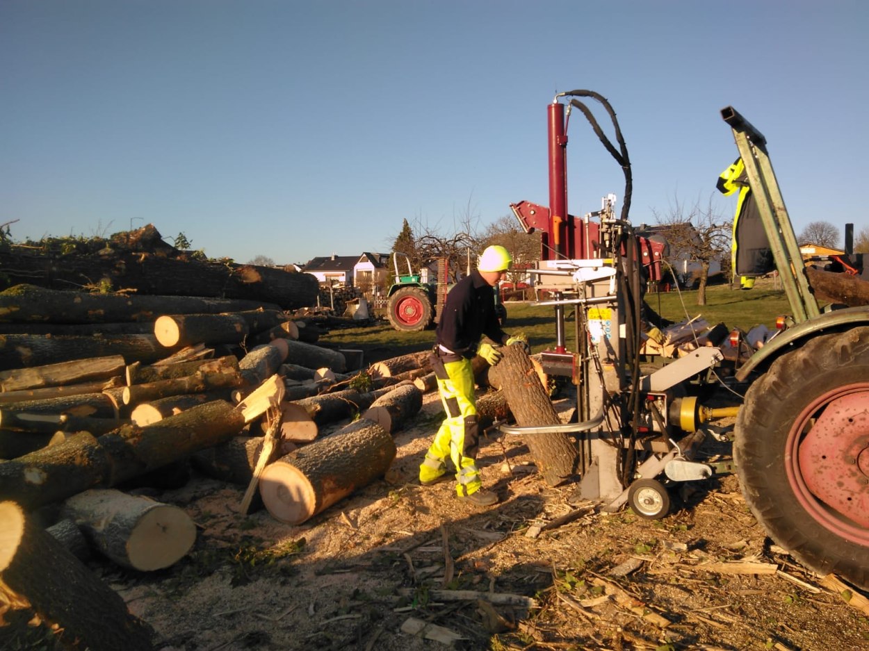 Brennholz Ahrtal Februar 01