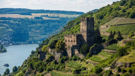 Burg Gutenfels inmitten der Weinberge | &copy; Henry Tornow/Romantischer Rhein Tourismus GmbH
