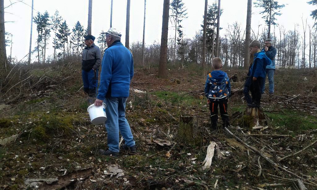 Pflanzaktion Hausecker