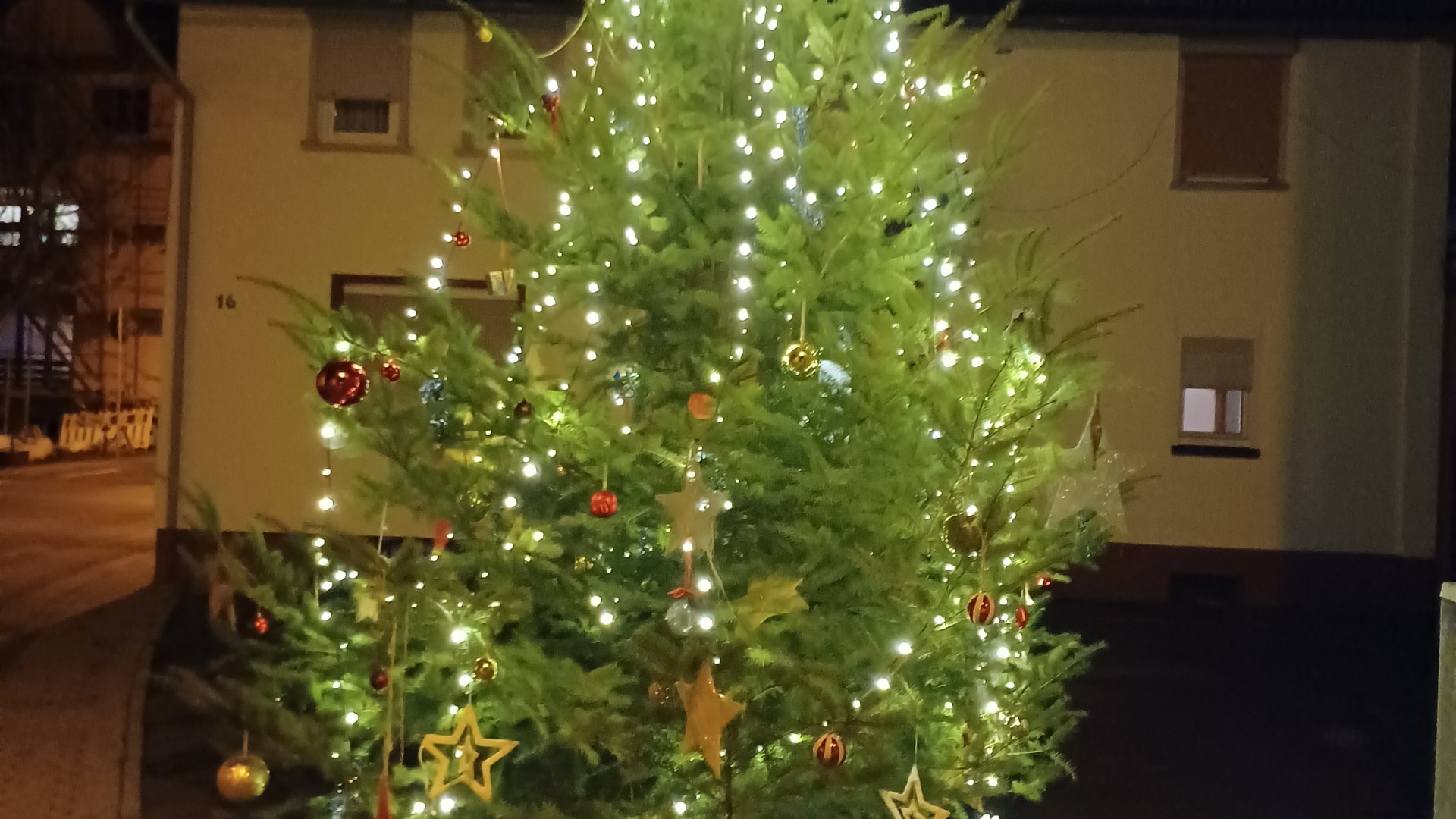 Tannenbaum Tannenbaum