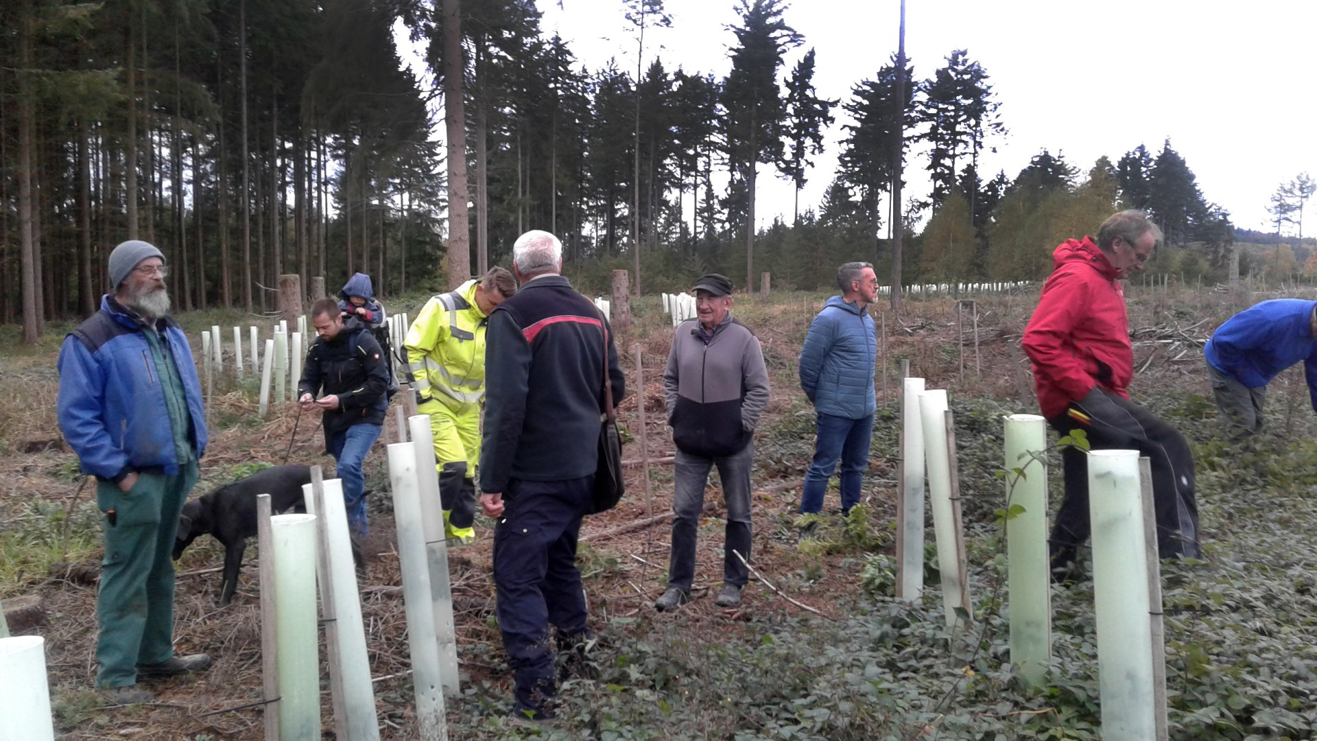 Waldbegeh1 Waldbegeh1