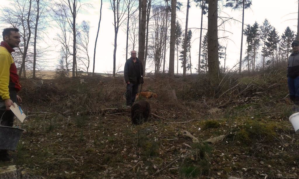 Pflanzaktion Hauseck