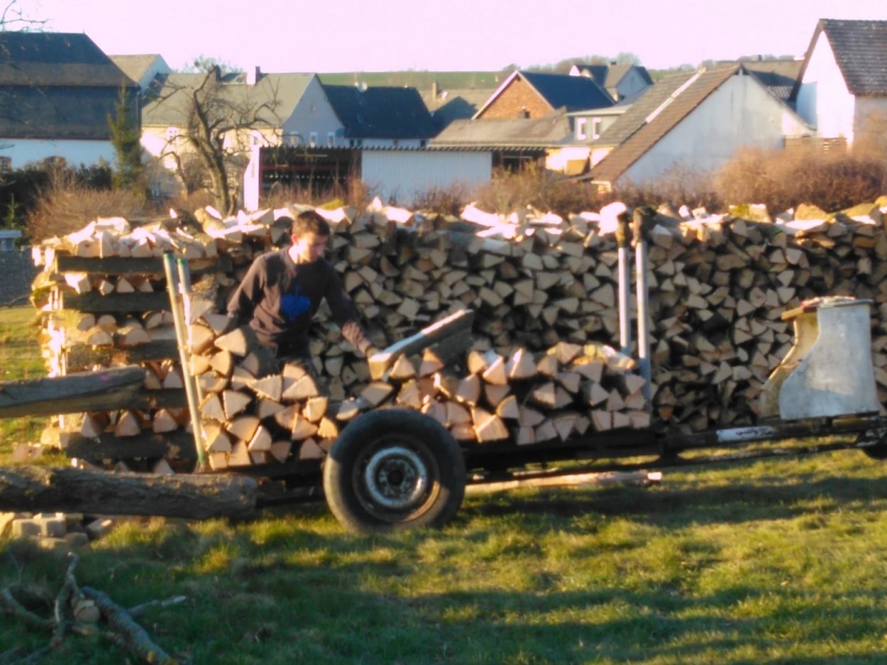 Brennholz Ahrtal Februar 02 Brennholz Ahrtal Februar 02