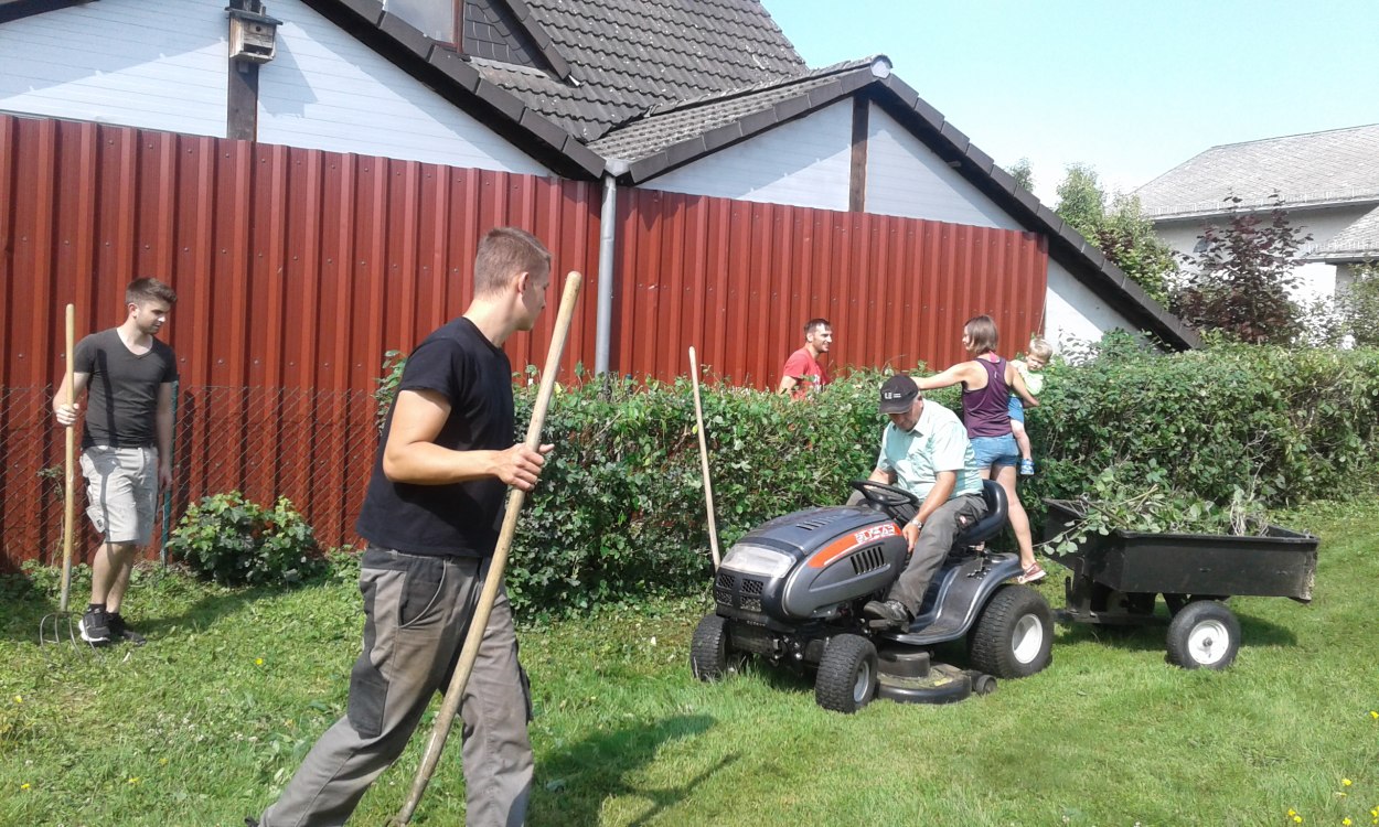 Pflegemaßnahmen Rh