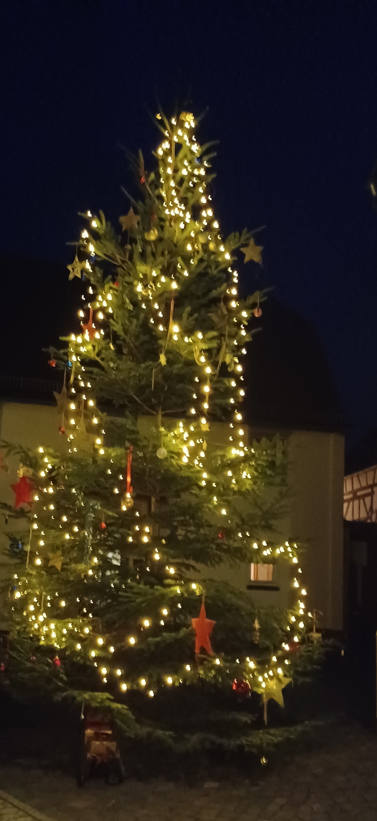 Weihnachtsbaumschmücken2