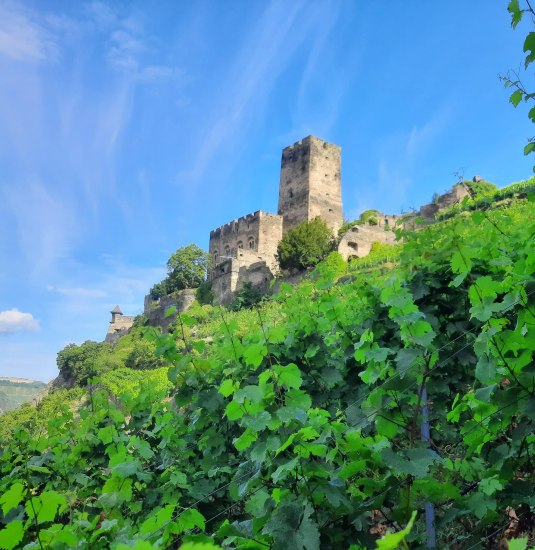 Burg Gutenfels | © Peter Bahles Burg Gutenfels | © Peter Bahles