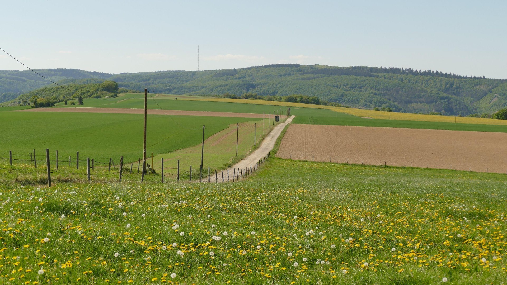 Wanderweg | © Armin Schaust Wanderweg | © Armin Schaust