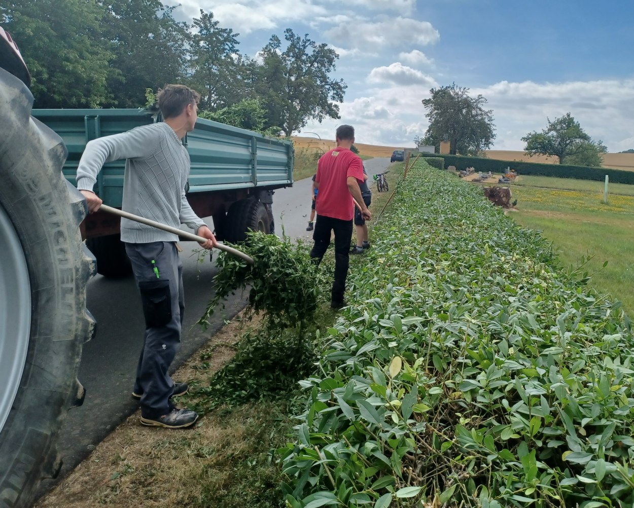 Arbeitseinsatz Reitzenhainer Bürger 02