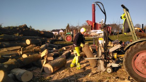 Brennholz Ahrtal Februar 01